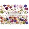 Decor Transfers® - Pressed Flowers - total sheet size 24"x35", cut into 2 sheets